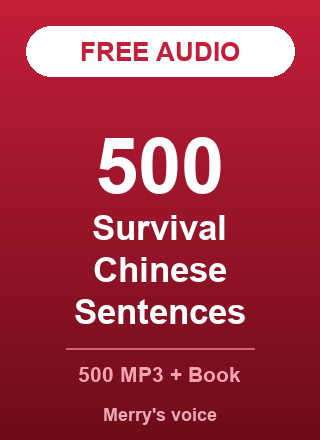 500 Survival Chinese Sentences